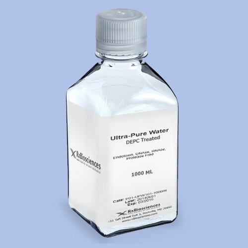 UltraPure Water DEPC-Treated